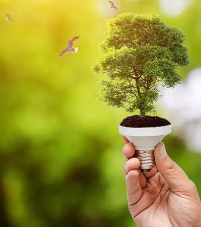 Recursos-Naturales-destacada