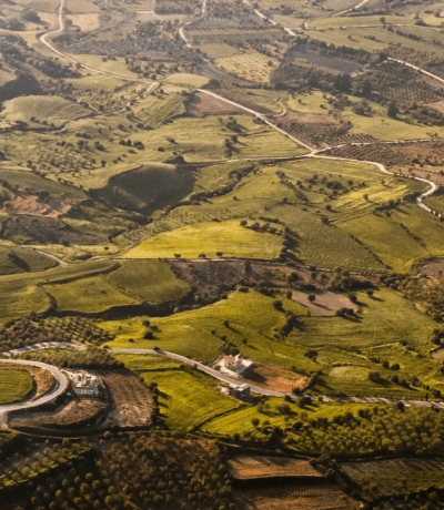 _Boletín-PHR-Legal-extraordinario---Proyecto-de-Ley-APP