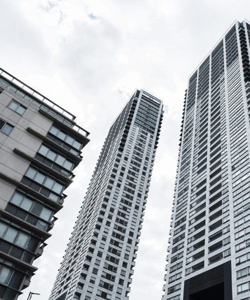 Caldic acquisition of Ricardo Molina