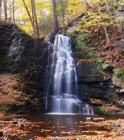 CONSULTING ROOM New Indigenous Environmental Authority