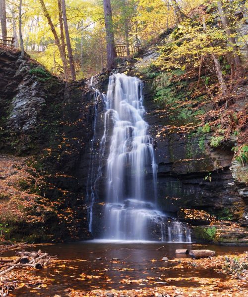 CONSULTING ROOM New Indigenous Environmental Authority