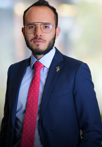 LeonardoRodríguez Web