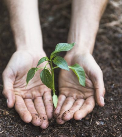 Ley de ÁREAS DE VIDA - Ley 2173 de 2021
