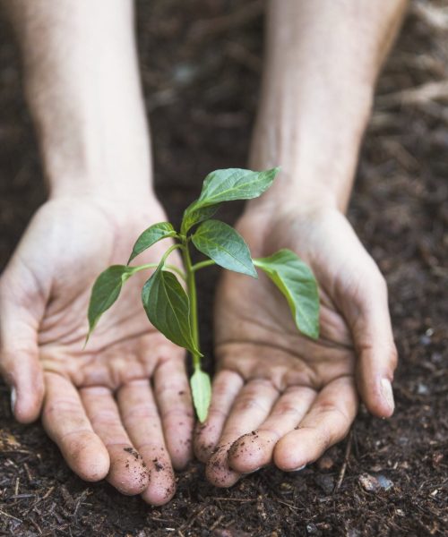 Ley de ÁREAS DE VIDA - Ley 2173 de 2021