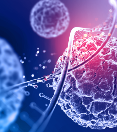 LA SOCIEDAD DE ONCOLOGÍA Y HEMATOLOGÍA DEL CESAR S.A.S.