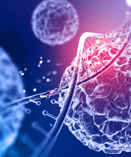 LA SOCIEDAD DE ONCOLOGÍA Y HEMATOLOGÍA DEL CESAR S.A.S.